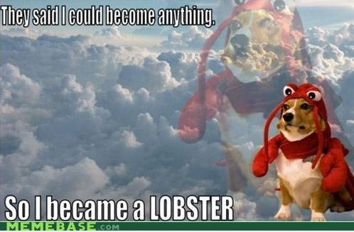 Lobster eeehh?