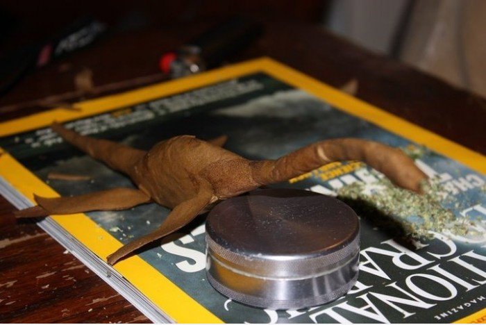 Loch Ness Joint