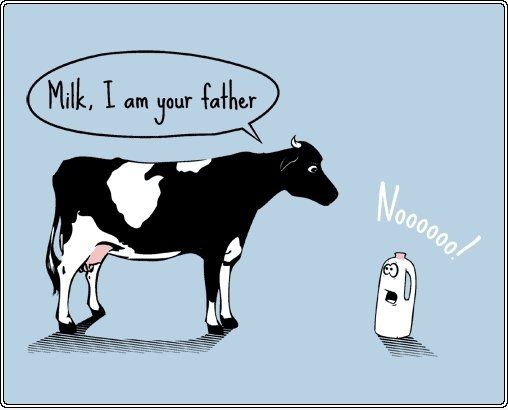 Kuh und Milch