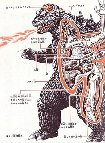Godzilla Anatomy