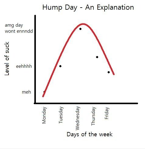 Was meinst du damit Sie nicht wissen, was hump day ist?!?!