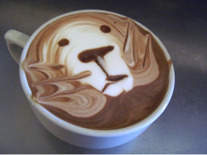 Coffee Lion