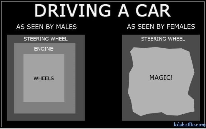 Men vs Women at Autofahren