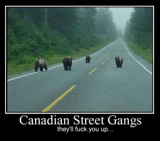 canadian street gangs