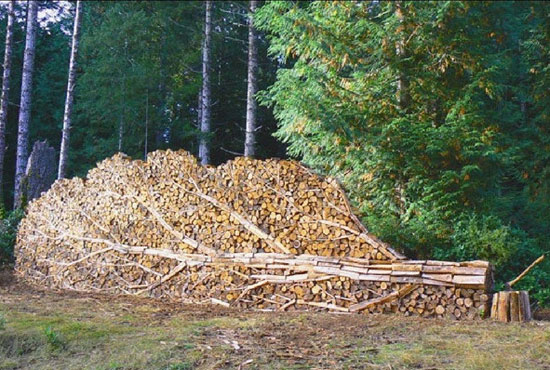 Coolest Wood Pile Ever