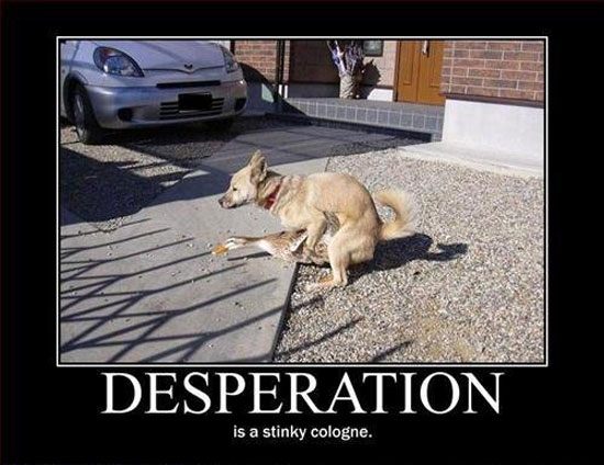 despration