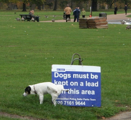 dogs must be kept on a lead