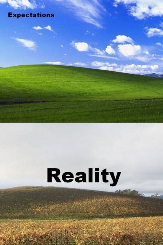 expectation and reality