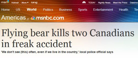 flying bear kills two canadians 4471