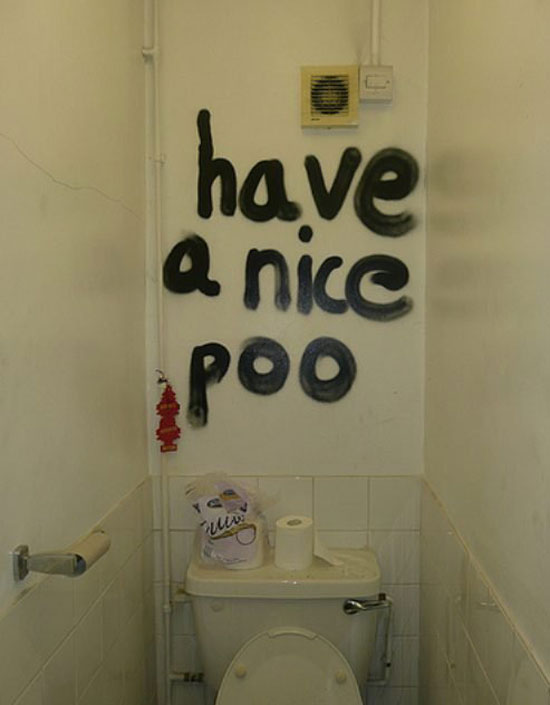 have a nice poo 4533