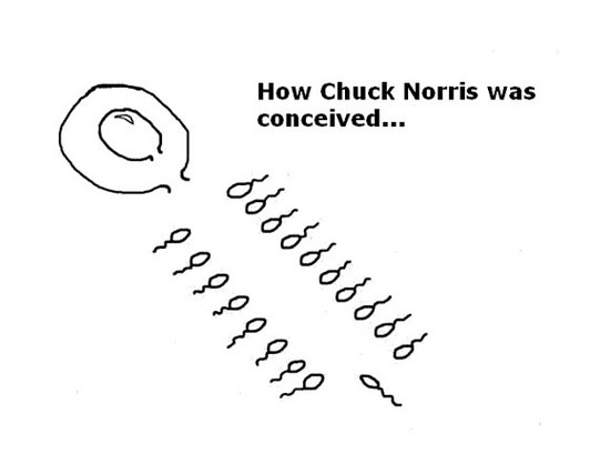 how chuck norris was conceived 4439