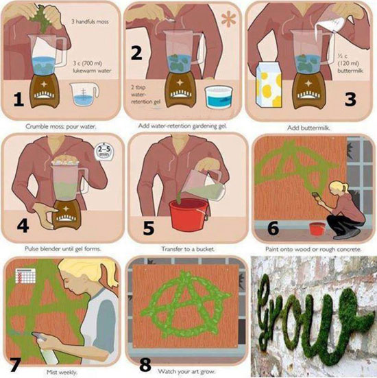How to Spray Grass
