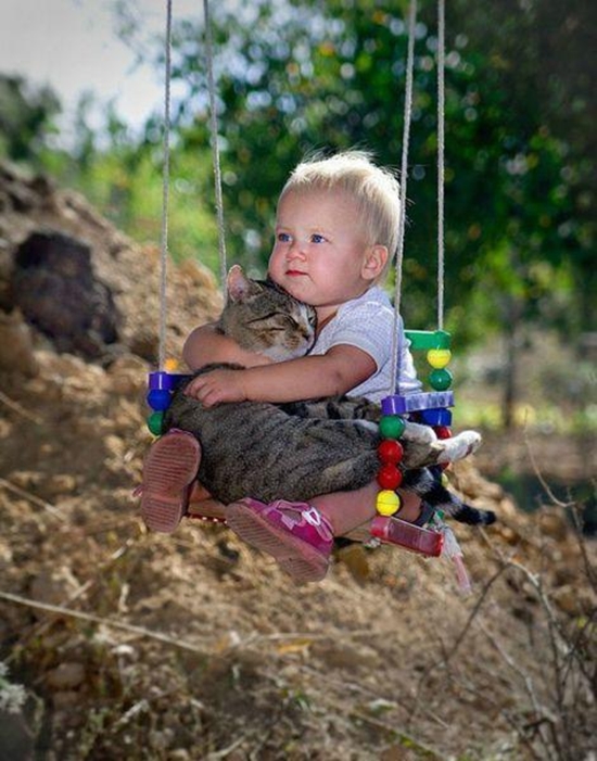 Katze und Kind auf der Schaukel - Cuteness Overload Bild
