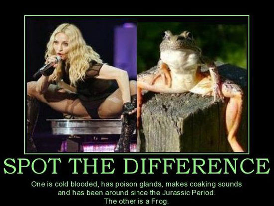 madonna spot the difference