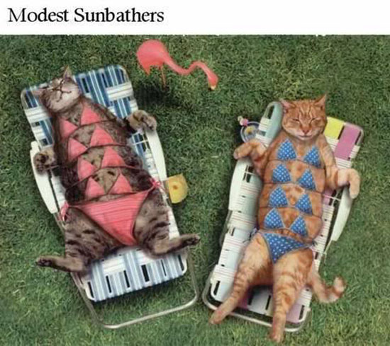modest sunbathers