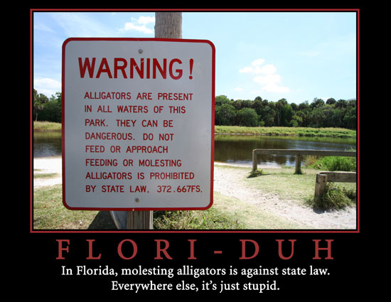 molesting alligators is against floridarsquos law