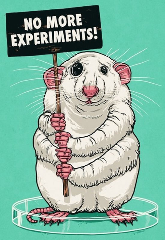 no more experiments