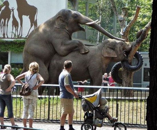 not a good day to take kids to the zoo
