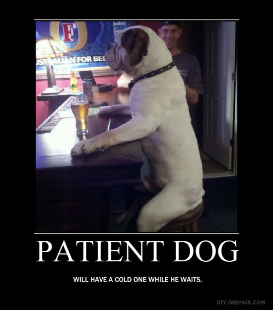 patient dog