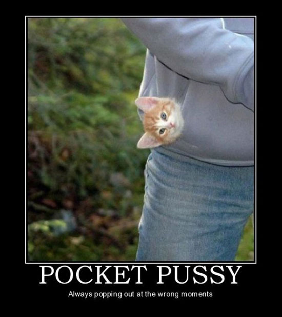 pocket pussy 4340