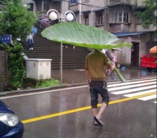 Regenschirm Win - Win Bild