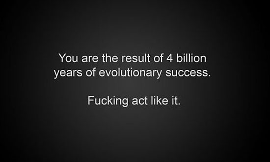 result of evolutionary success