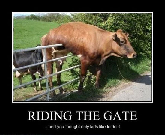 riding the gate