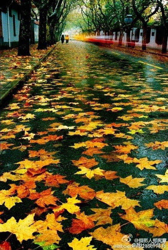 Schoenes Herbstfoto