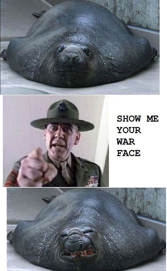 show me your war face