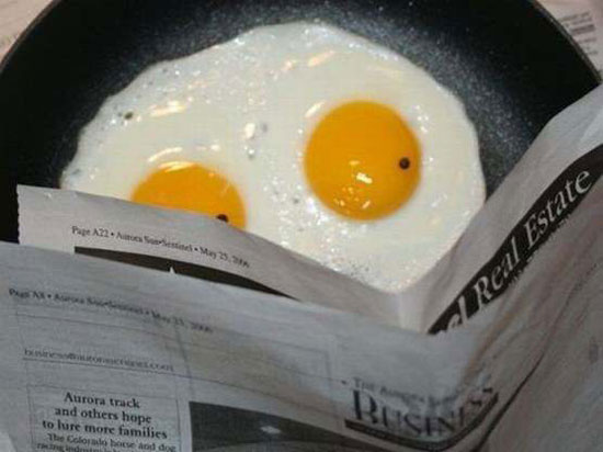 the egges the reader