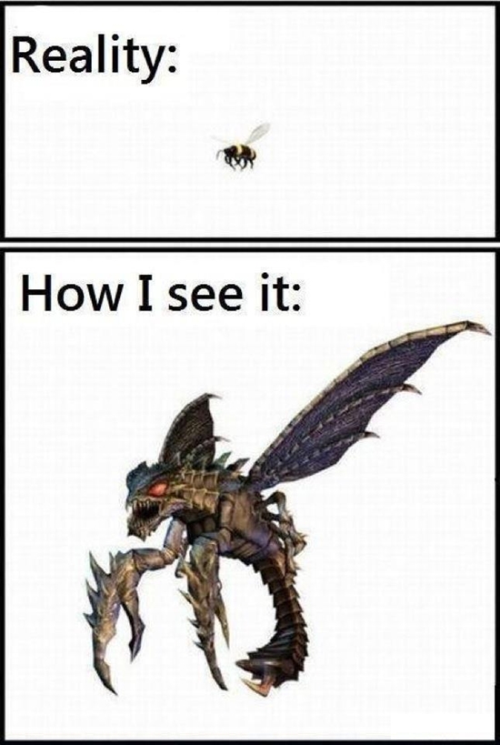 Wie ich eine Biene sehe