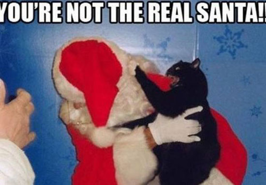 you are not the real santa