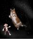 Tiere in Space
