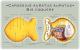 Goldfish Cracker Anatomy
