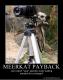 Meerkat Payback