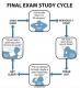 Final Exam Study Zyklus