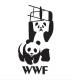 WWF vs WWF