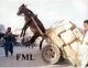FML ... Donkey edition