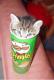 Pringles Cat