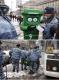 Greenpeace in Russland