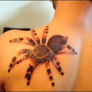 3D Spinnen Tattoo