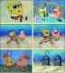Die Freundschaft der SpongeBob und Patrick