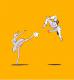 Ballet vs Karate