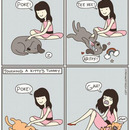 cat play dog true story