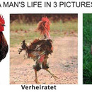 Das Leben eines Mannes in drei Bildern