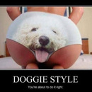 doggy style