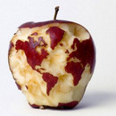 earth apple