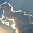 Ein Pferd am Himmel...