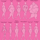 female body types anatomy