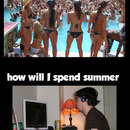 How will other spend Summer